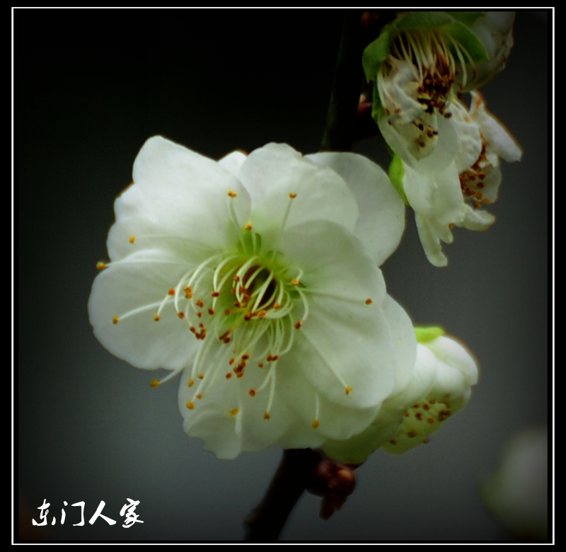 WX1_2153_.jpg
