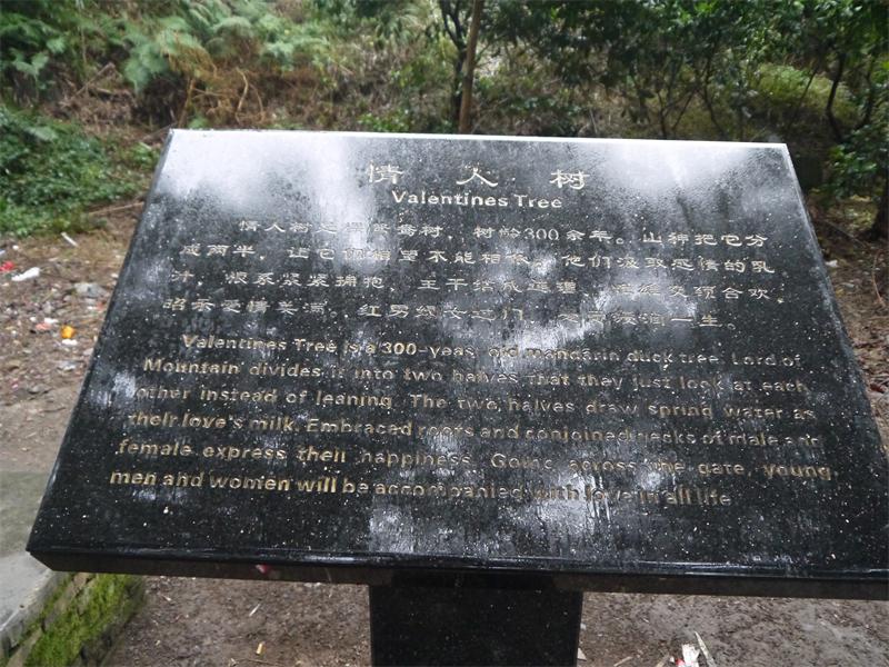 P1000895.JPG