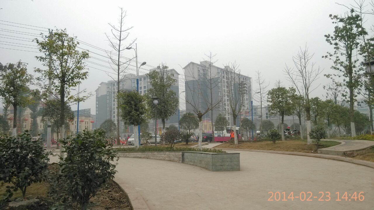 IMG_20140223_144633-1.jpg