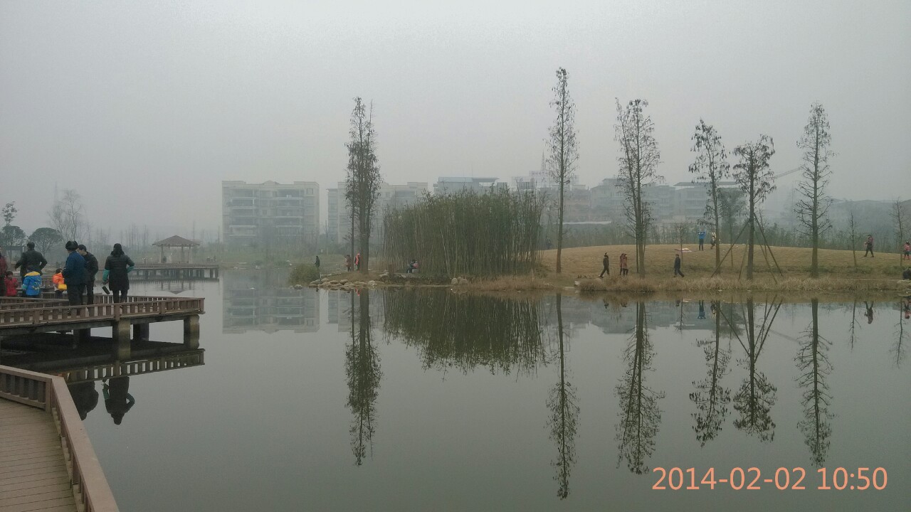 IMG_20140202_105020-1.jpg
