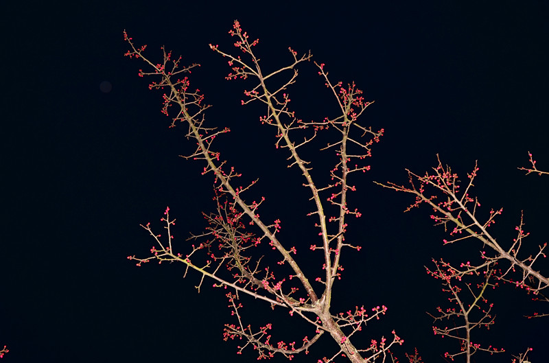 DSC_9744_.jpg