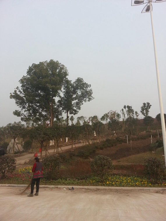 20140127_160748.jpg