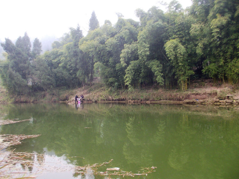 DSCF8975.JPG