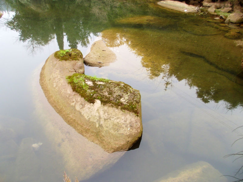 DSCF9006.JPG
