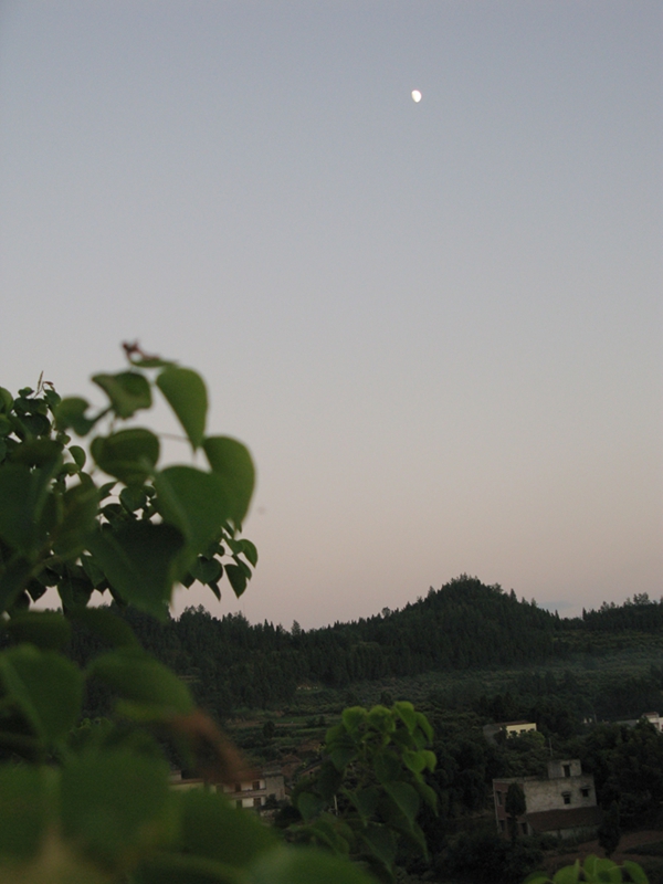 IMG_2299.jpg