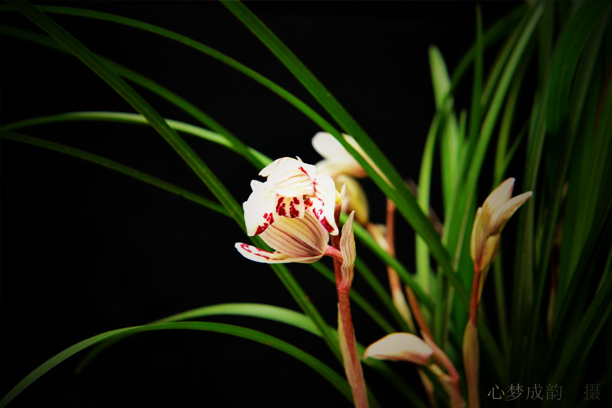 Ƭ20140128 091.jpg