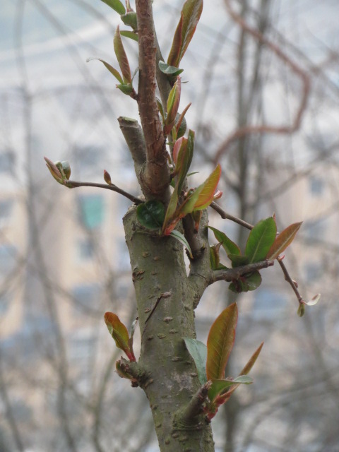 Ϣ(2014.224 006.JPG