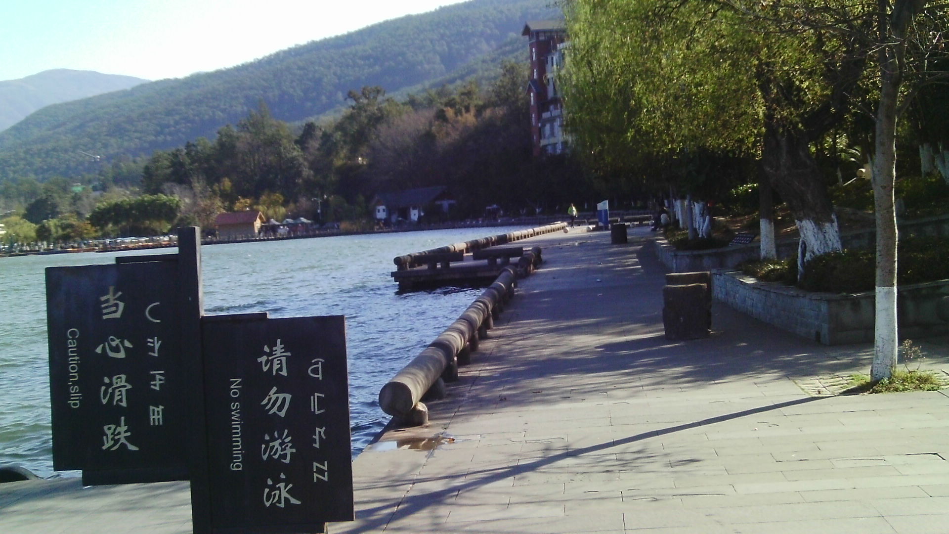 IMAG0058.JPG