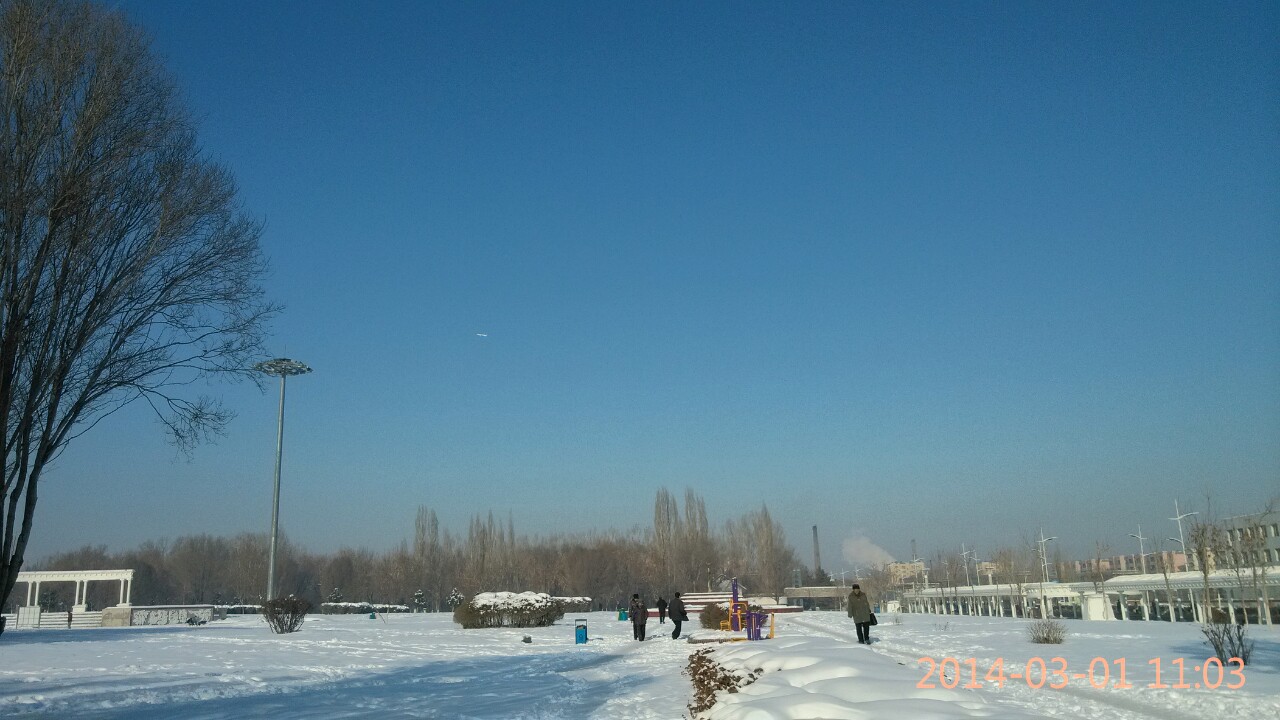IMG_20140301_110336-1.jpg