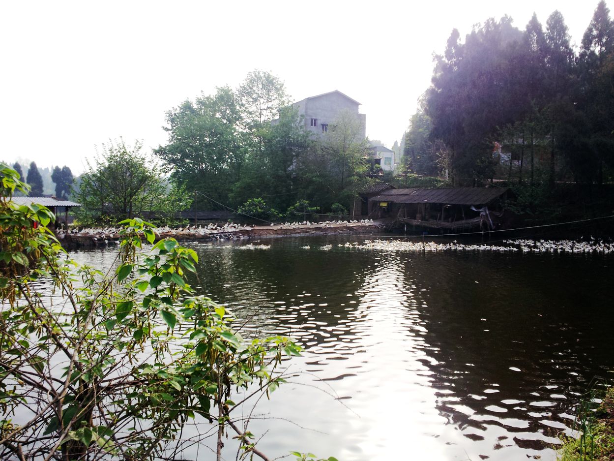 20130328_085250.jpg
