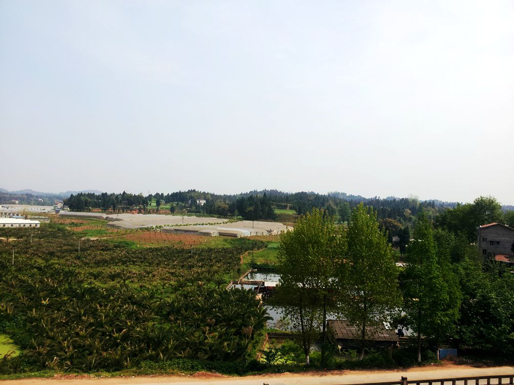 20130328_111344.jpg