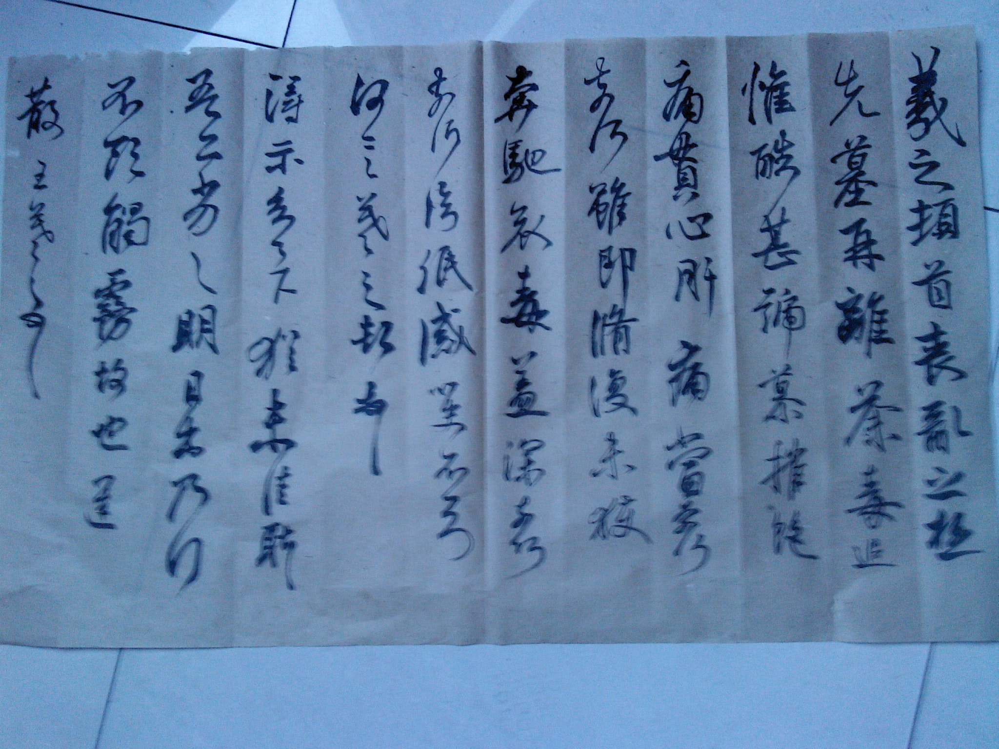 YP20140301172759.jpeg