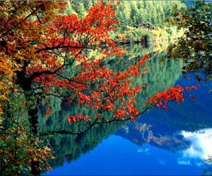 2_200912051623092v2bs_thumb.jpg