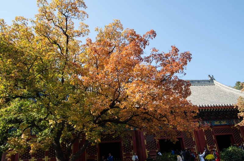 DSC_8315.jpg