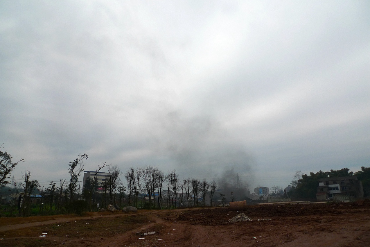 P1440518.jpg