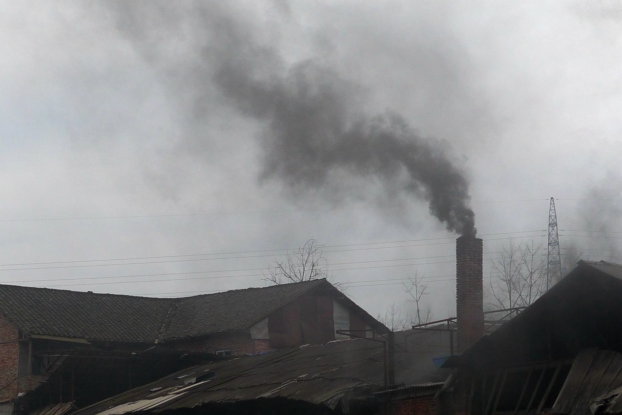 P1440528.jpg