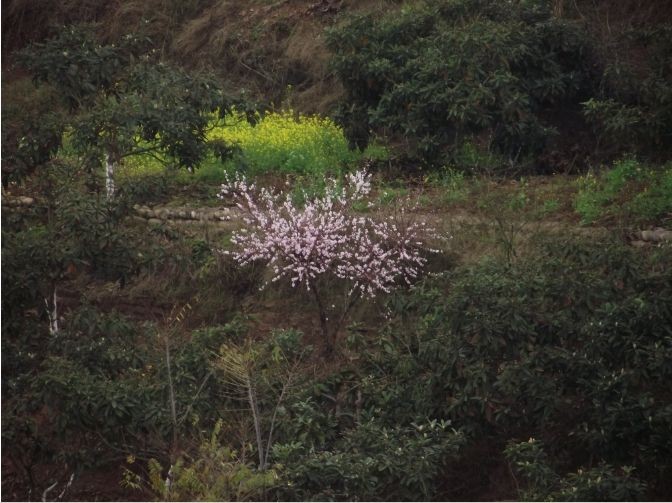 QQͼƬ20140305001108.jpg