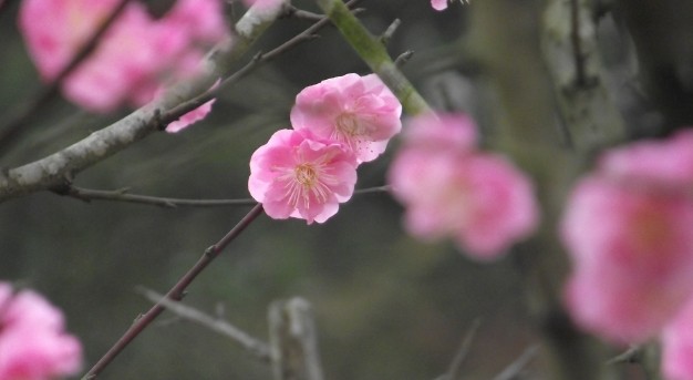 QQͼƬ20140305001215.jpg