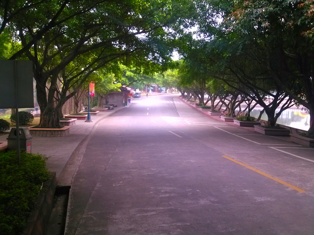 CAM00272_.jpg