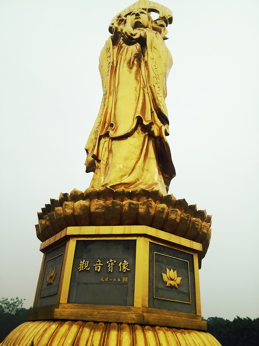 CAM00318_.jpg