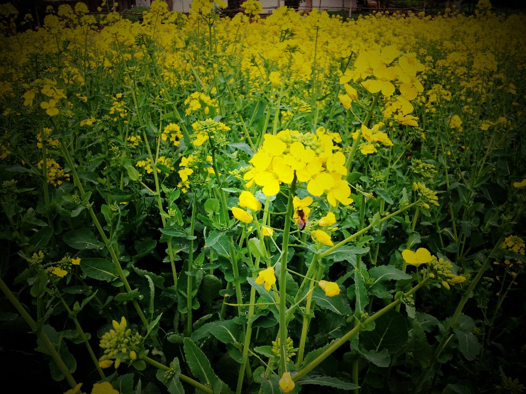 20140304_145203.jpg