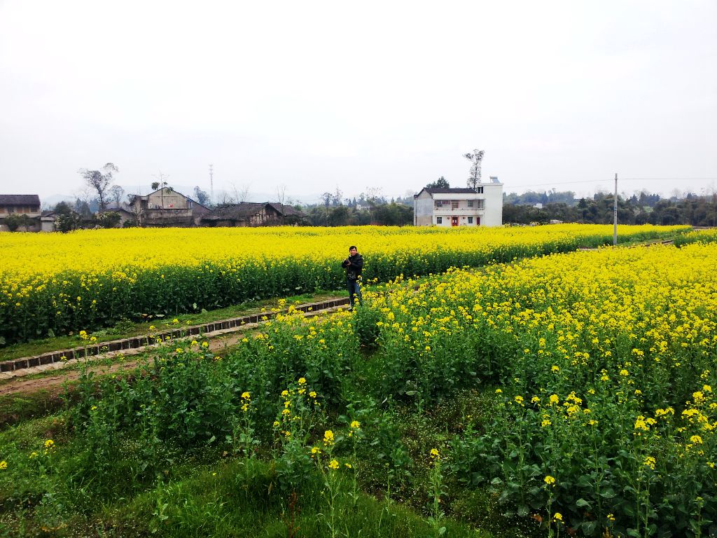 20140304_145209.jpg