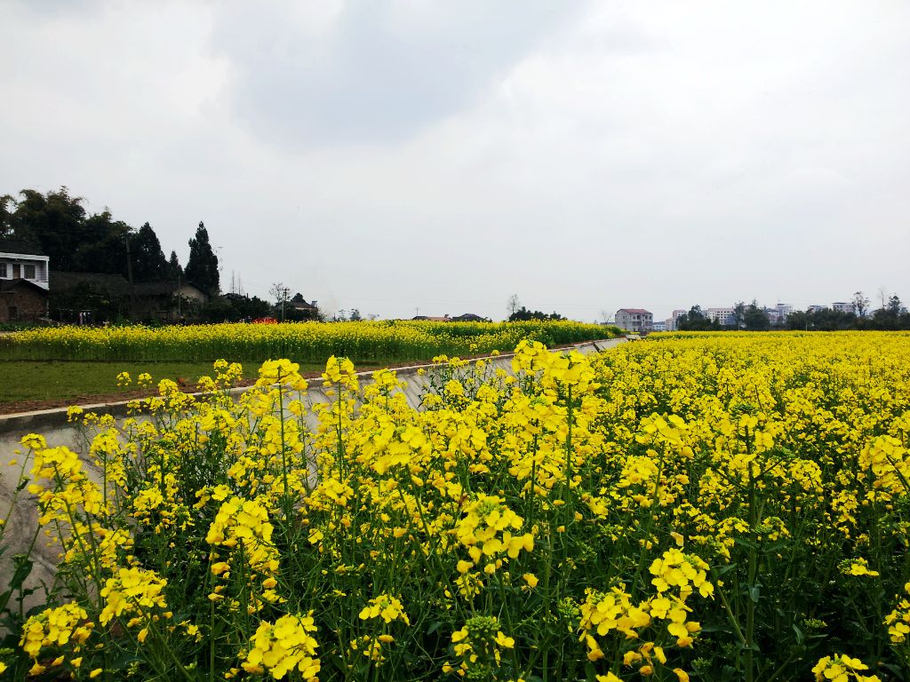 20140304_145352.jpg