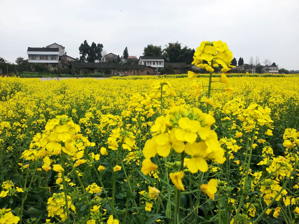 20140304_145900.jpg