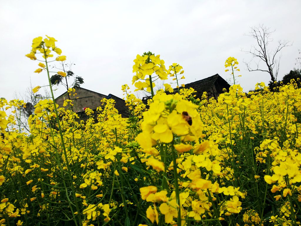 20140304_150212.jpg