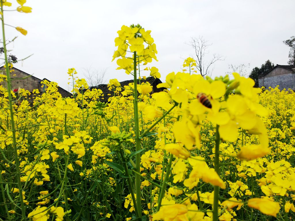 20140304_150220.jpg