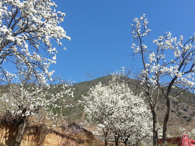 20140301_143928ͼ - .jpg
