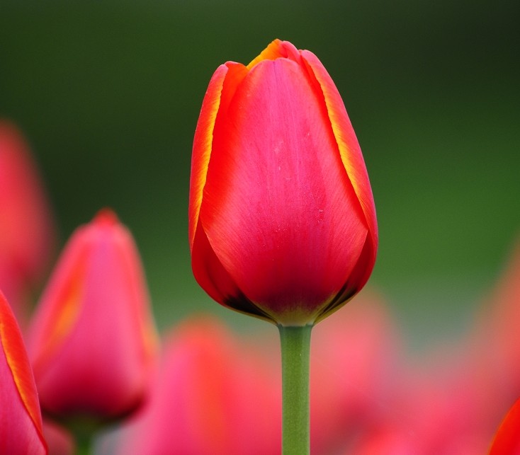 QQͼƬ20140306200950.jpg