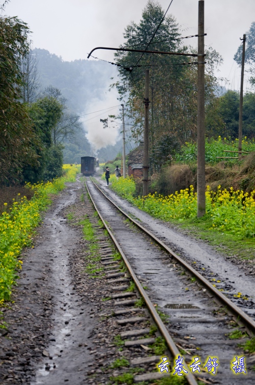 DSC_5874_conew1.jpg