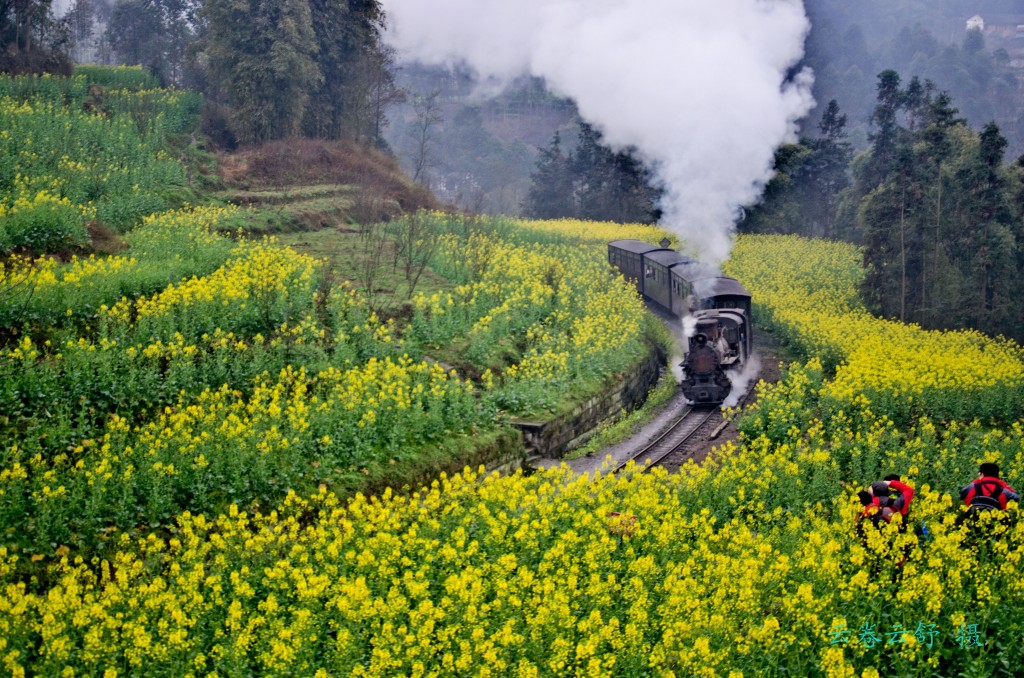 conew_dsc_6081.jpg