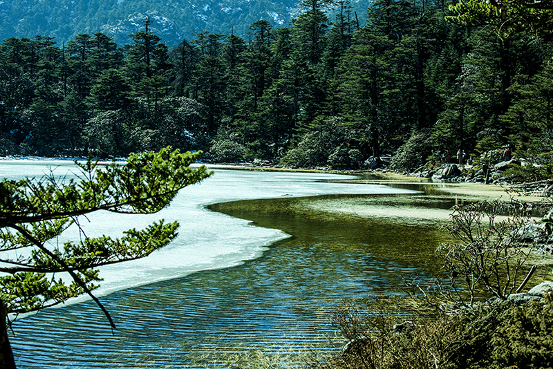 _DSC3244.jpg