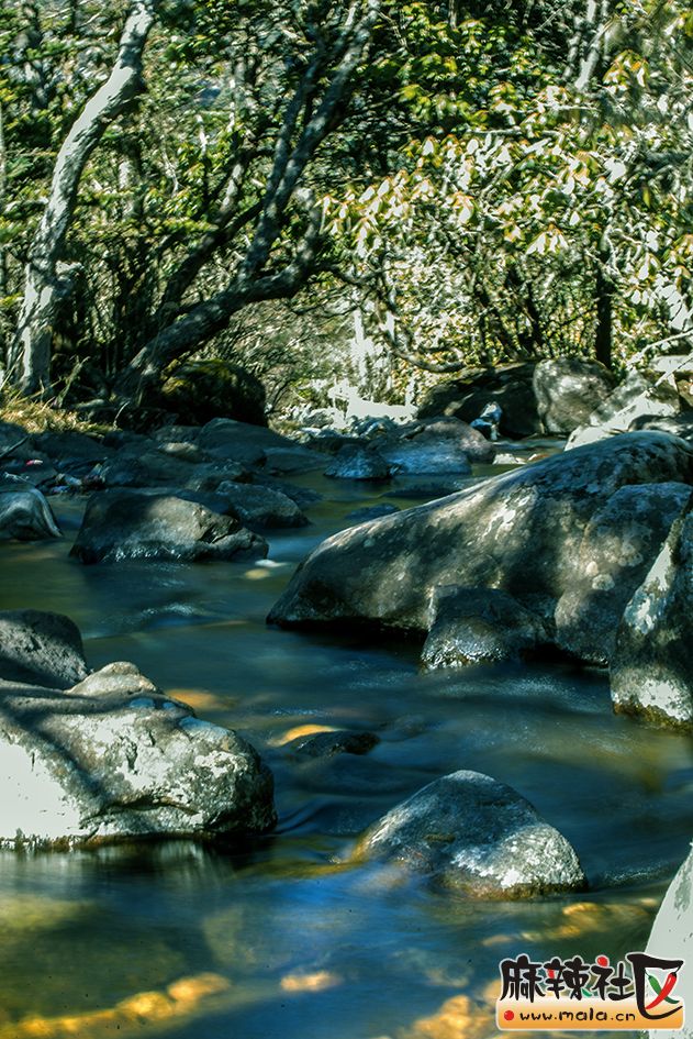 _DSC3283.jpg