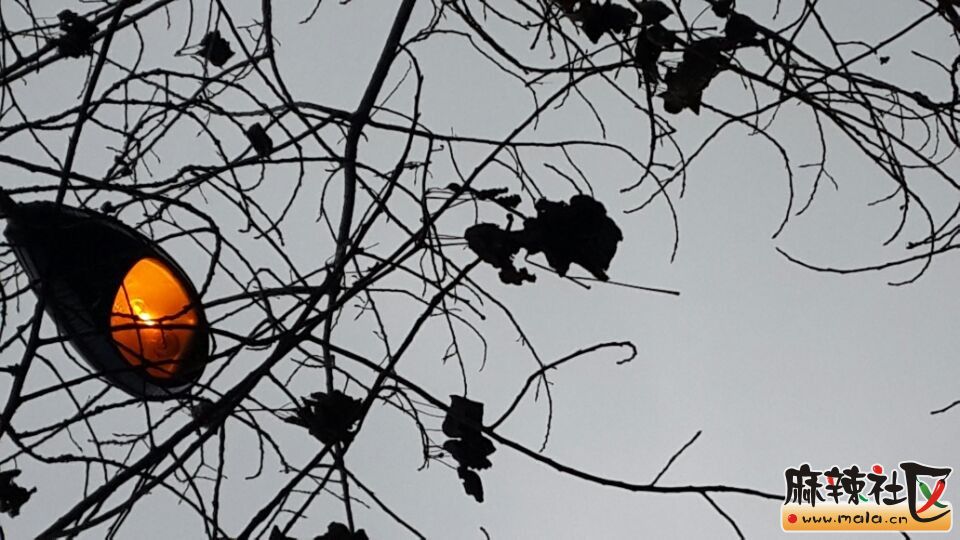 QQͼƬ20140308114543.jpg