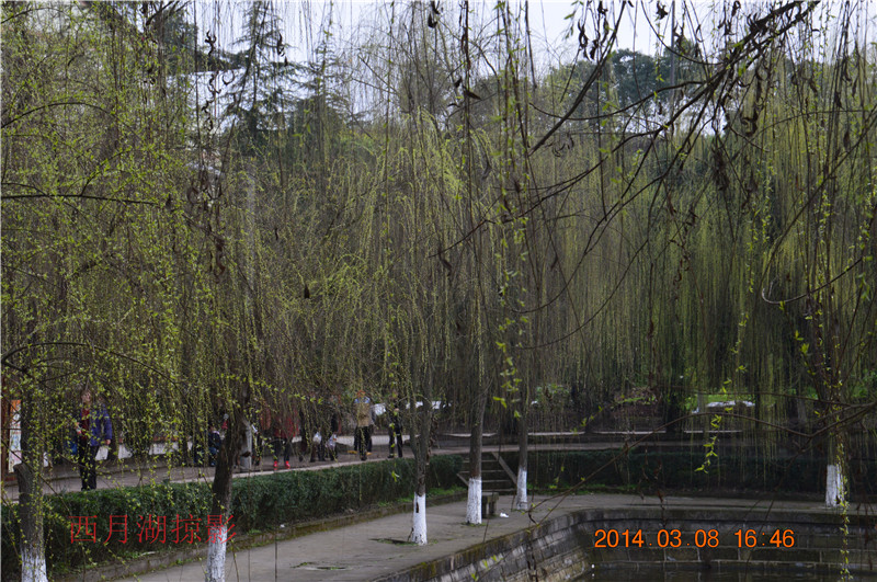DSC_2768_1.jpg