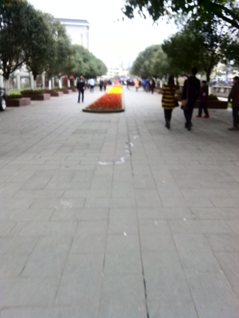 YP20140308171335.jpeg