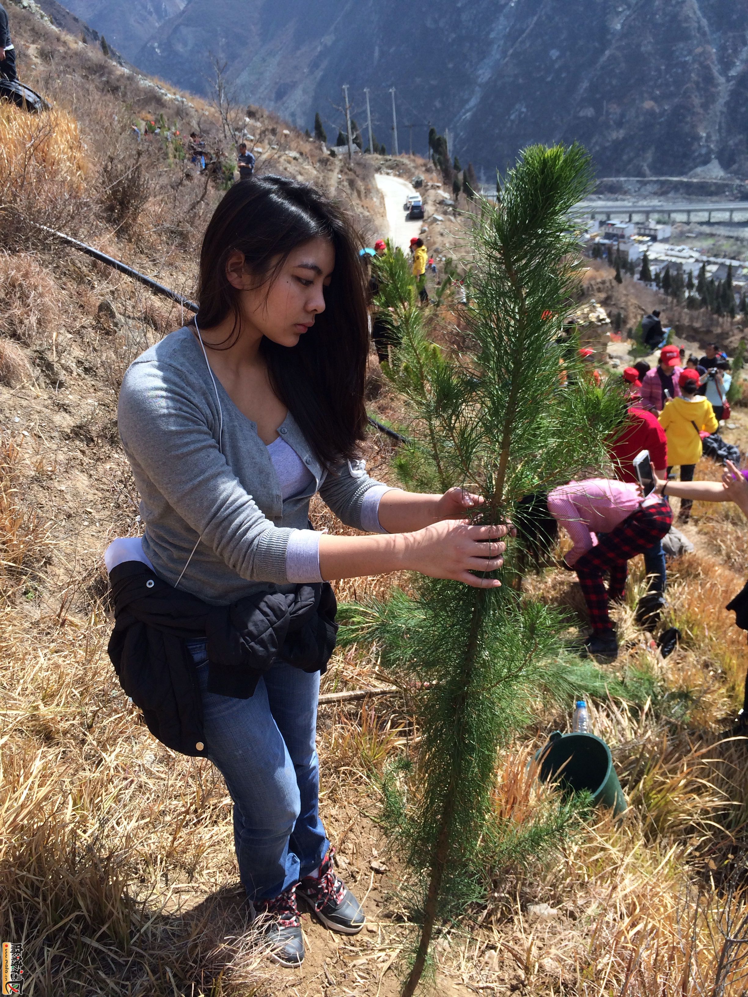 植树节图片真人唯美图片