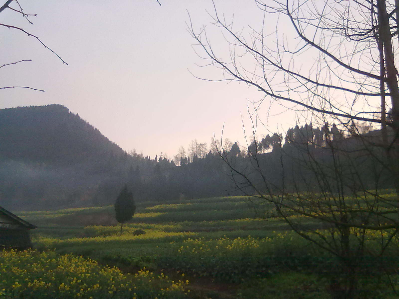 201403104475.jpg