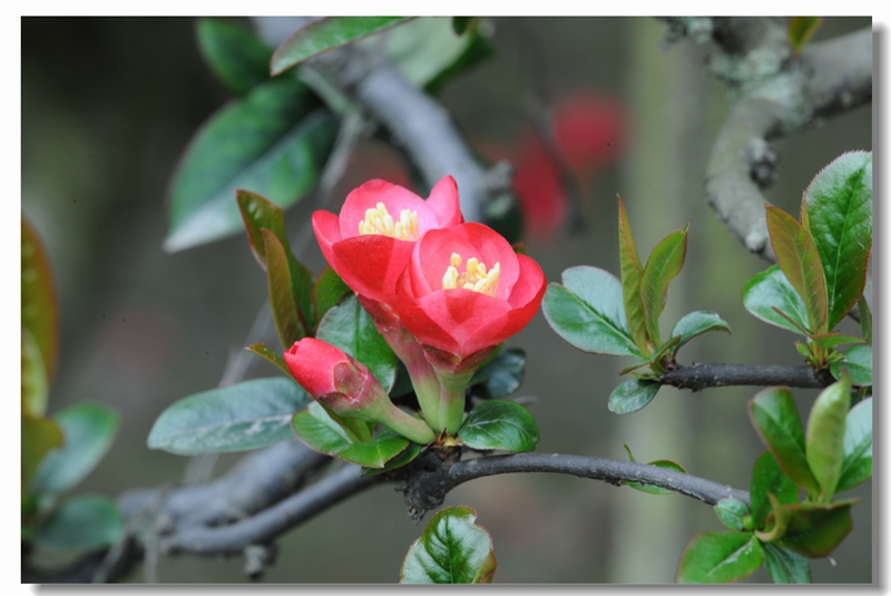 DSC_6056.JPG