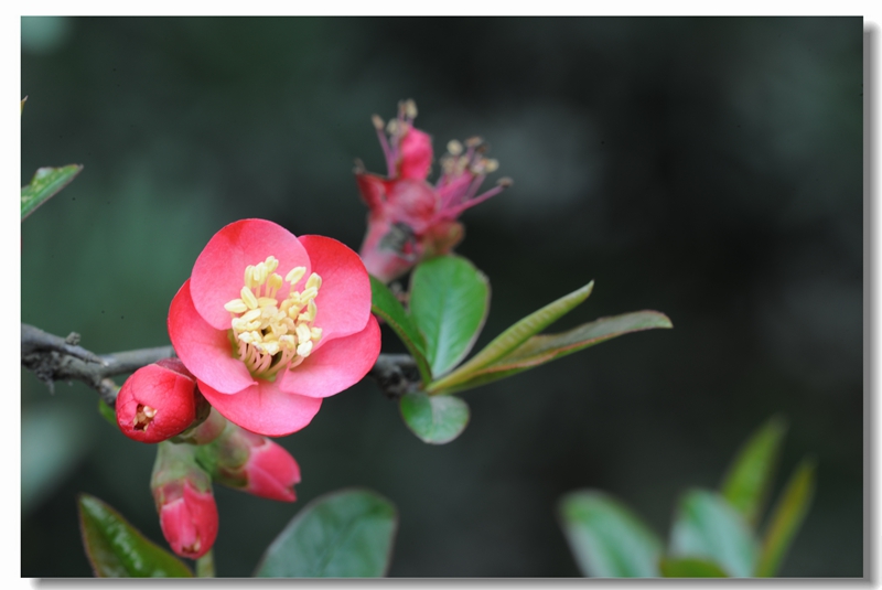 DSC_6063.JPG