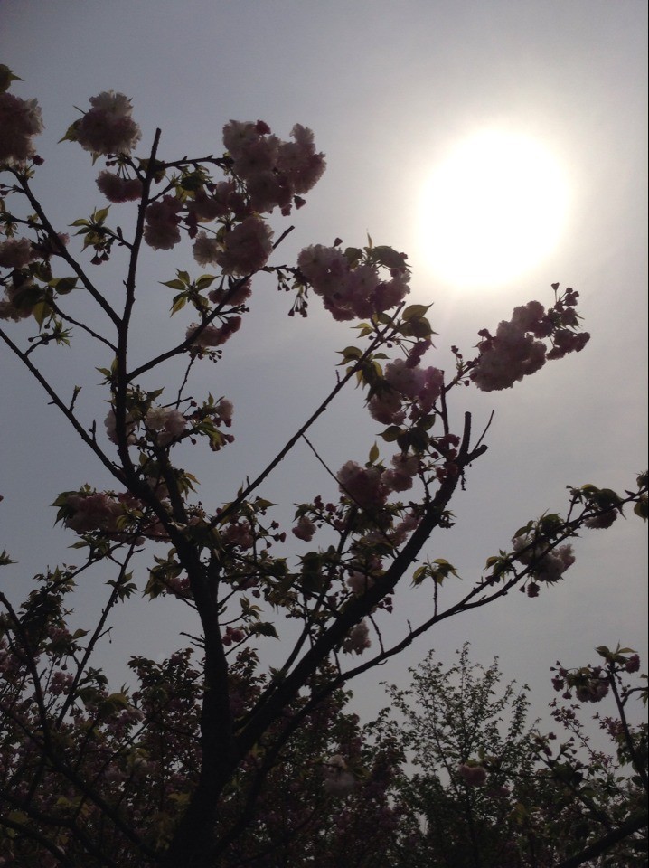 QQͼƬ20140310160827.jpg