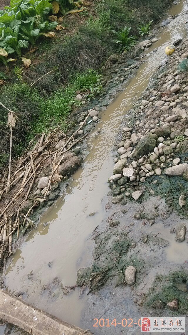 201402071216397557.jpg