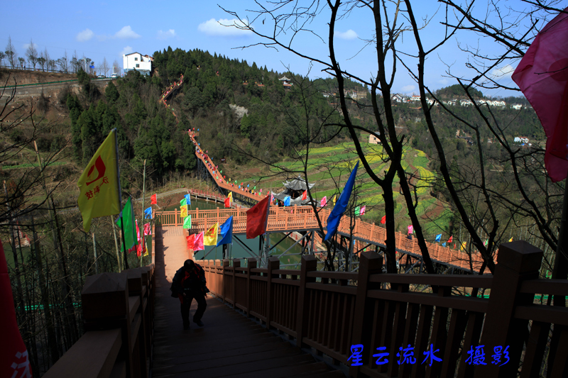 IMG_2677.jpg