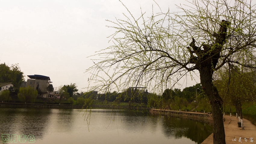 P1000299.jpg