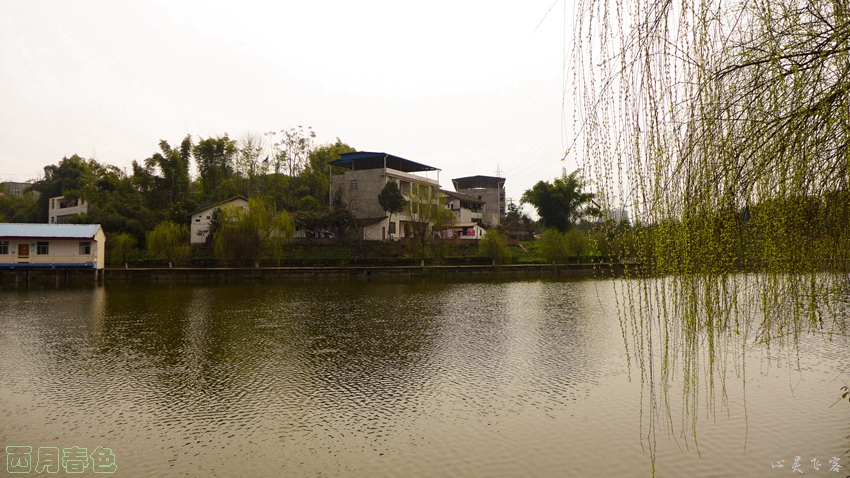 P1000318.jpg