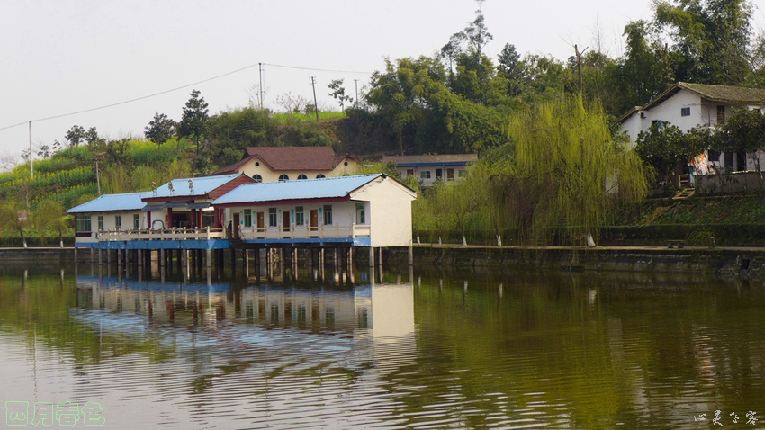 P1000395.jpg