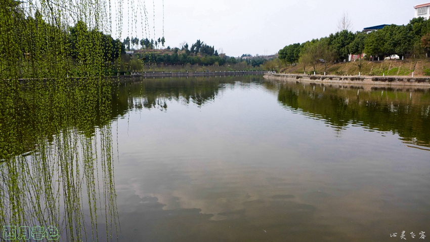 P1000470.jpg